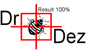 Dr. Dez - Доктор Дез -